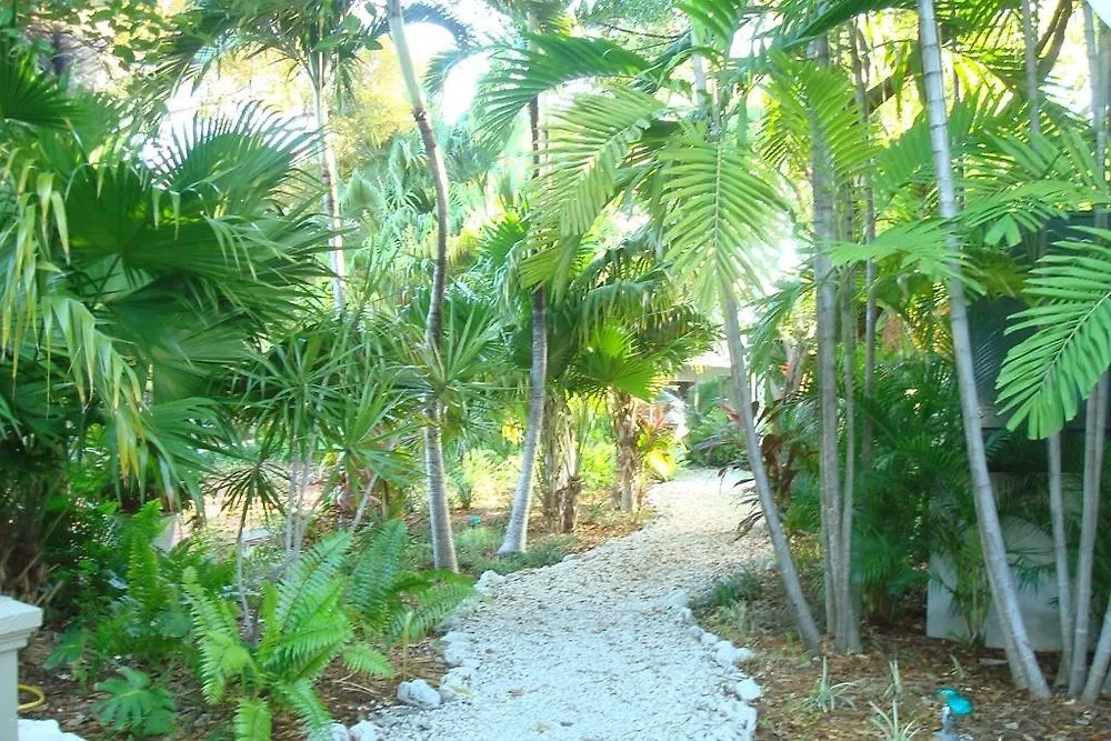 Hotel Coconut Mallory And Marina 3*