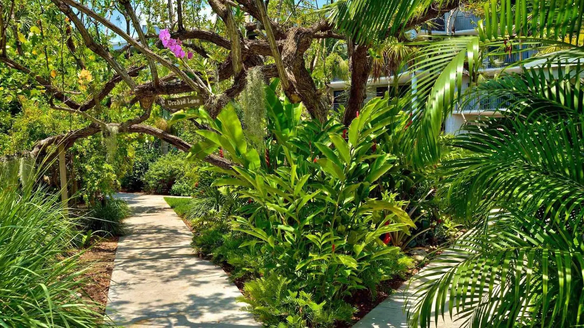 度假居 Riviera Americana By Last Key Realty *