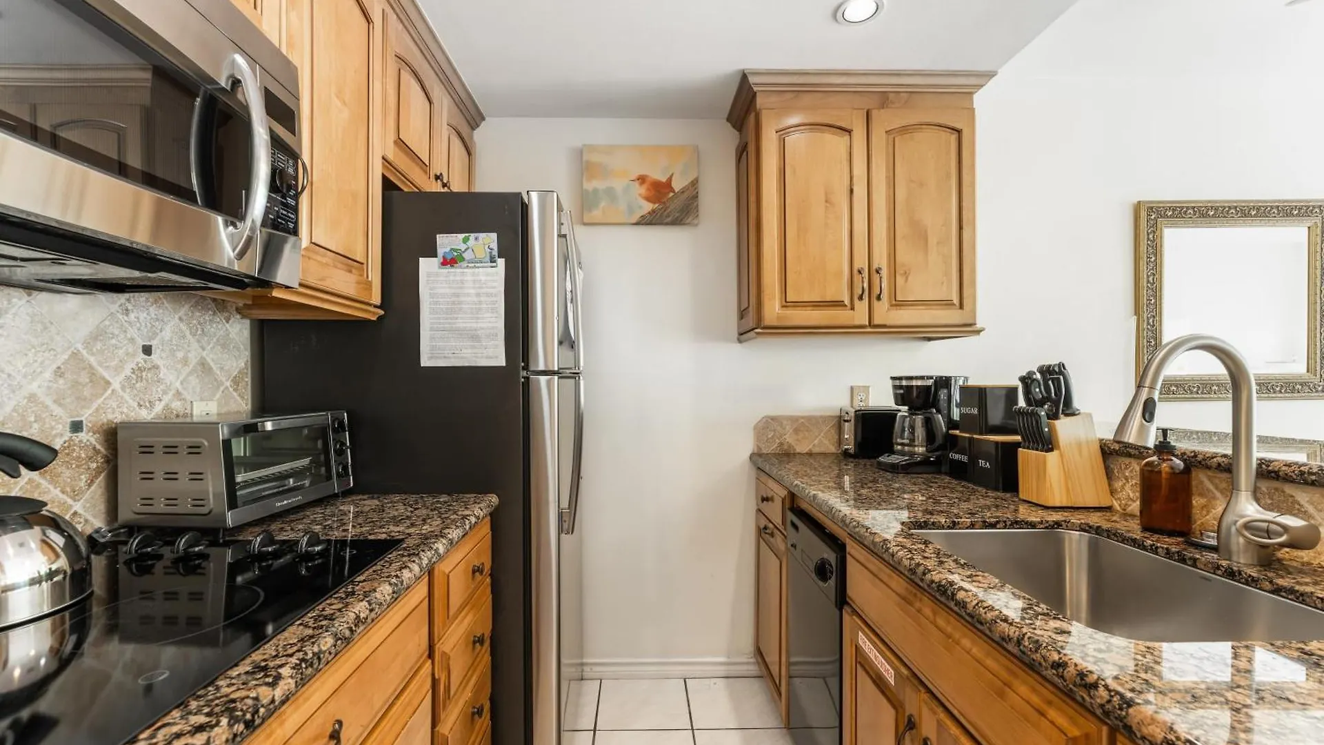 Conch Adventure By Avantstay Great Location W Patio Outdoor Dining And Shared Pool Week Long Holiday home *