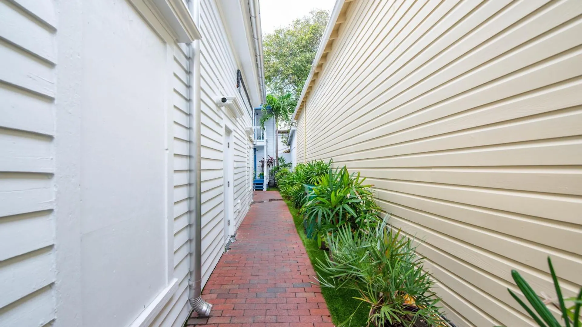 Feather Queen At Custom House Apartman Key West
