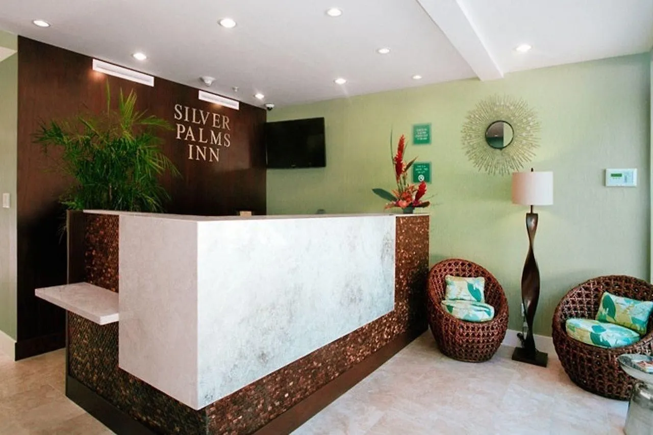 Silver Palms
