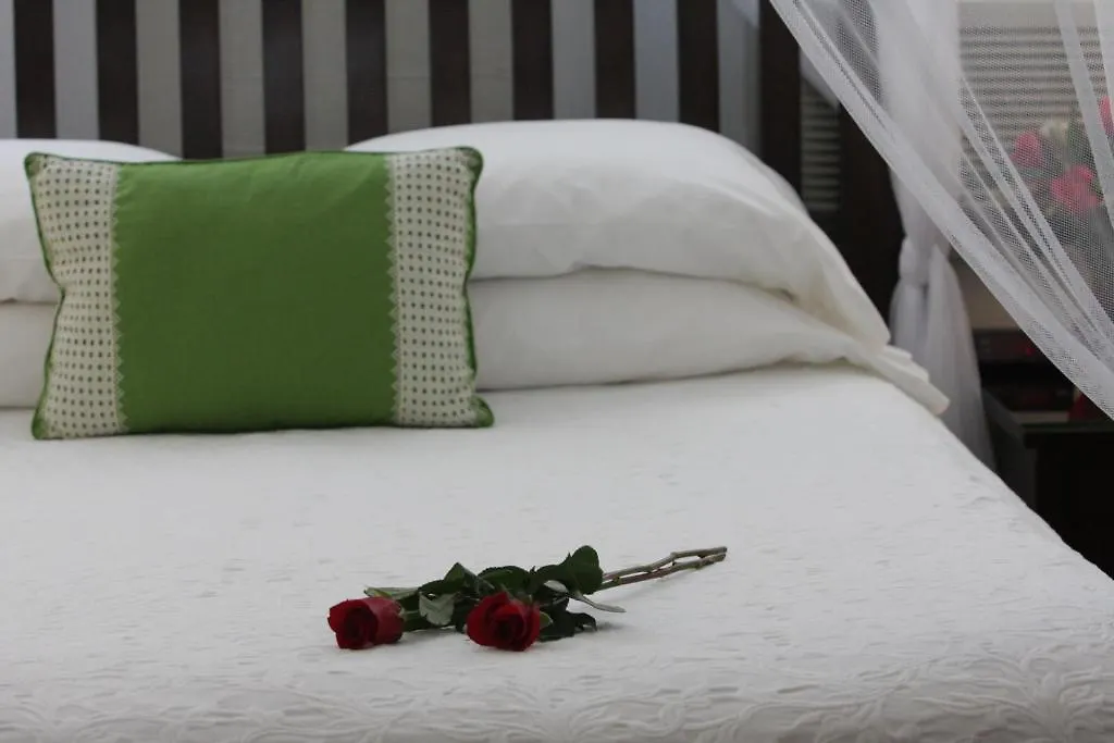 Bed & Breakfast Avalon (adults Only) Key West