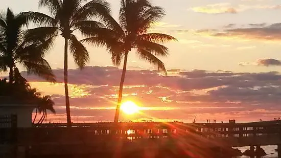 Coconut * Key West