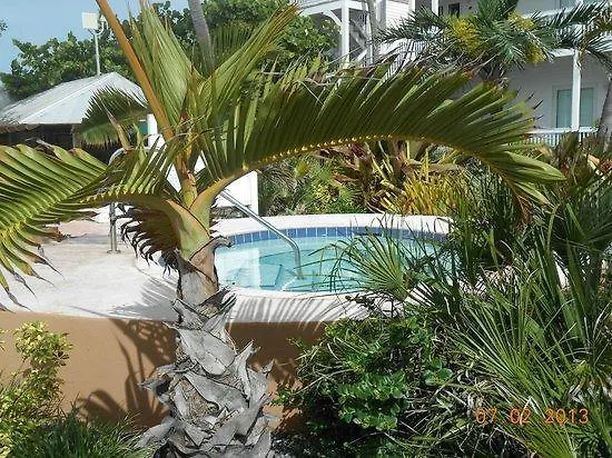 Coconut