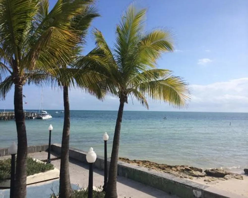 Apartmán Coconut
