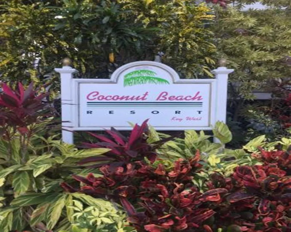 Coconut Apartmán *