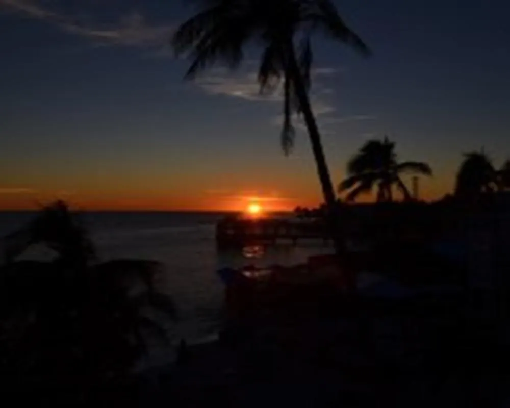 Coconut Apartmán Key West