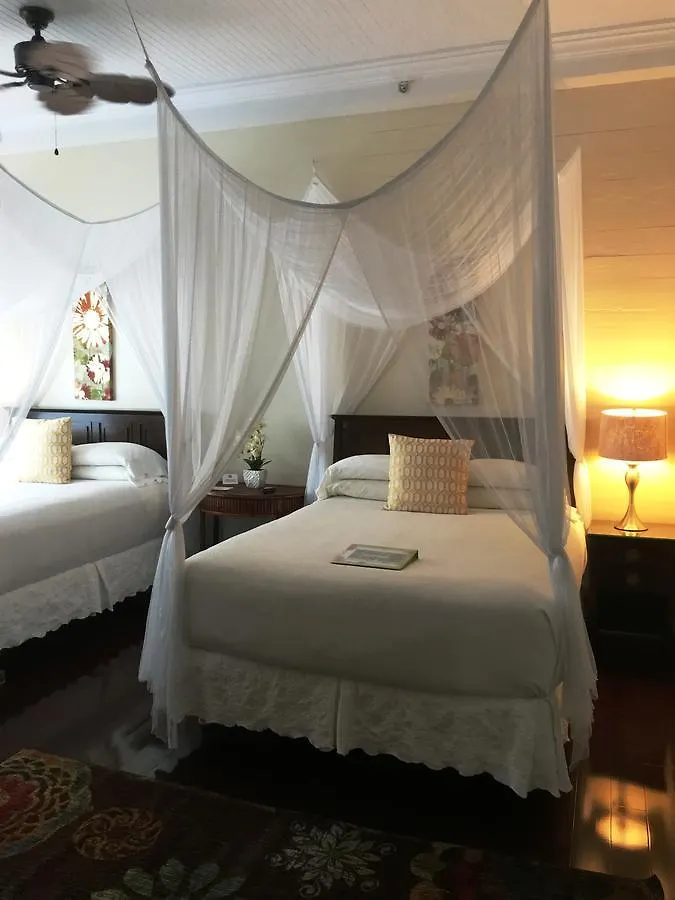 Avalon (adults Only)