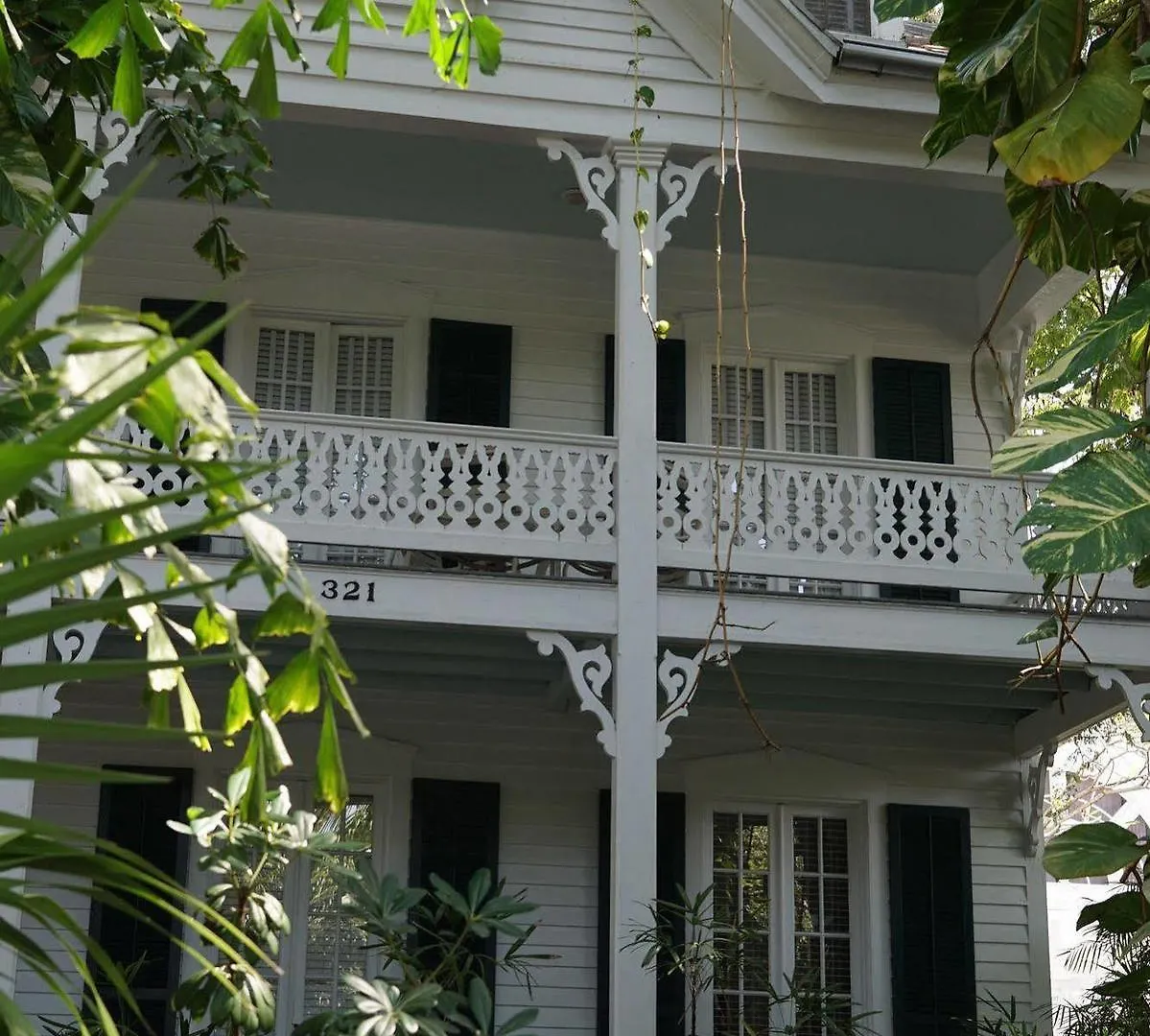 The Banyan *