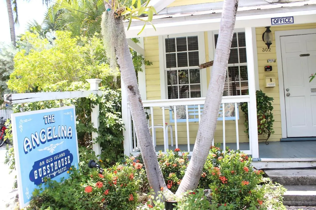 The Angelina - Adult Exclusive * Cayo Hueso