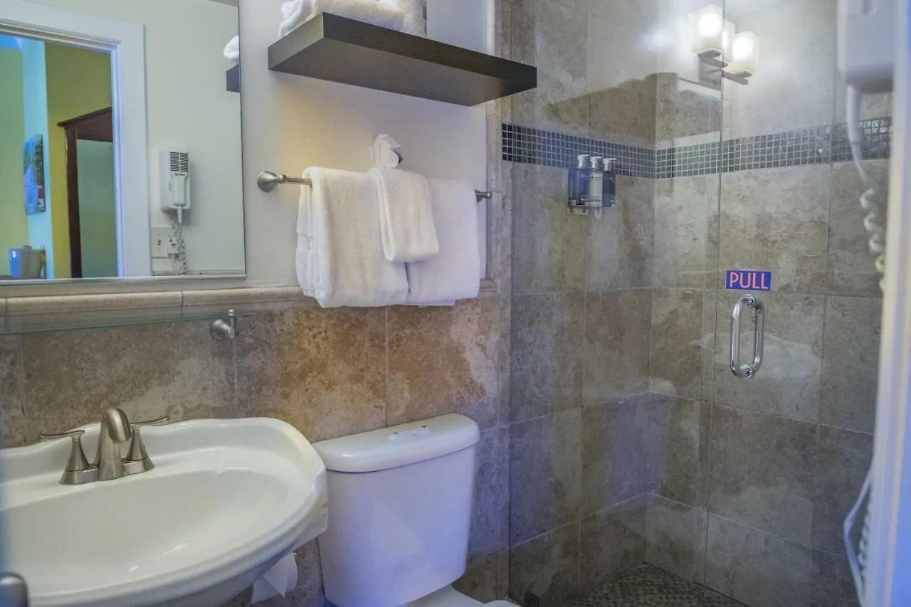 Pegasus International Hotell 3*