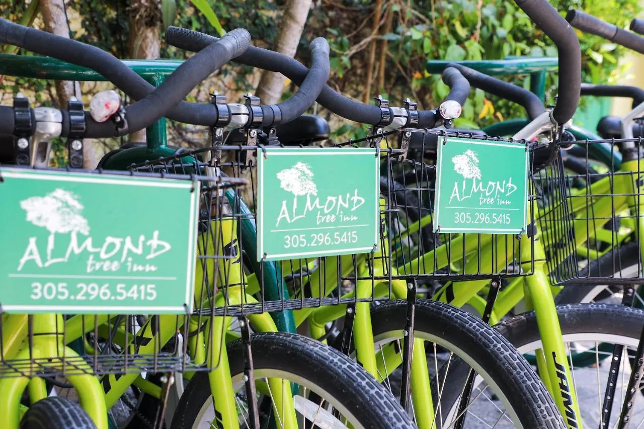Hotel Almond Tree - Adults Only