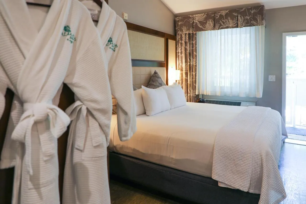 Hotel Almond Tree - Adults Only