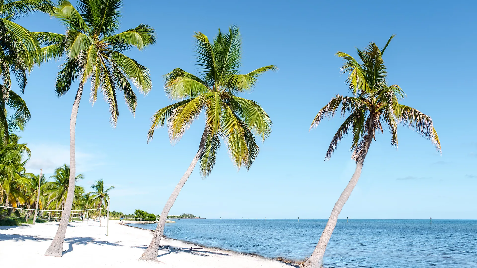 Resort Parrot Key & 4*