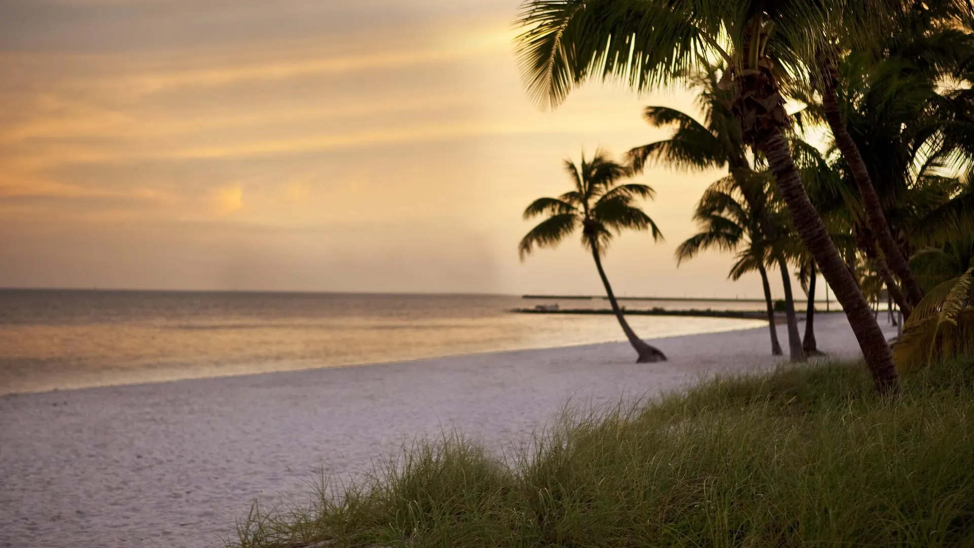 Hotel Margaritaville House 3*