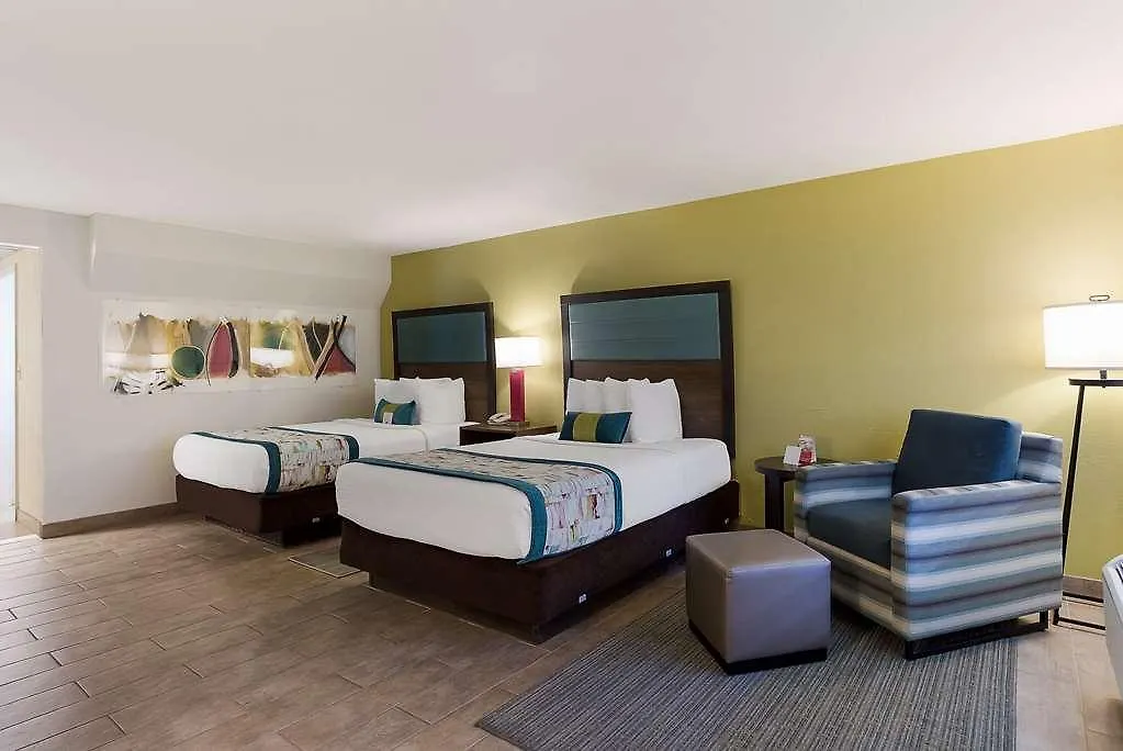 Best Western Hibiscus