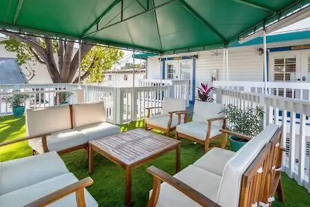 Birds Of A Feather At Custom House Key West