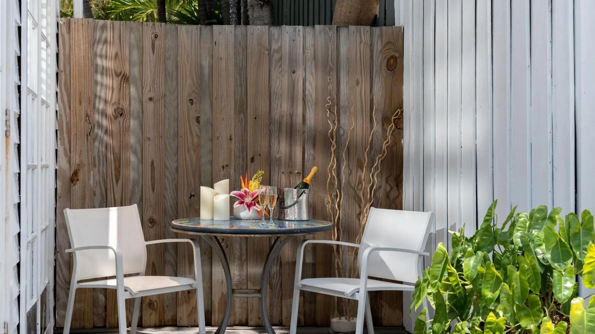 Alexander's Guesthouse-adult Exclusive, Lgbtq Friendly Bed and Breakfast