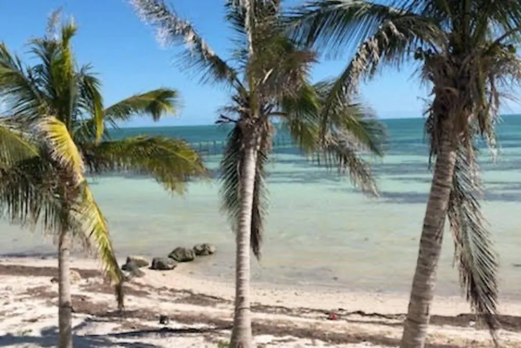 - Azucar Key West