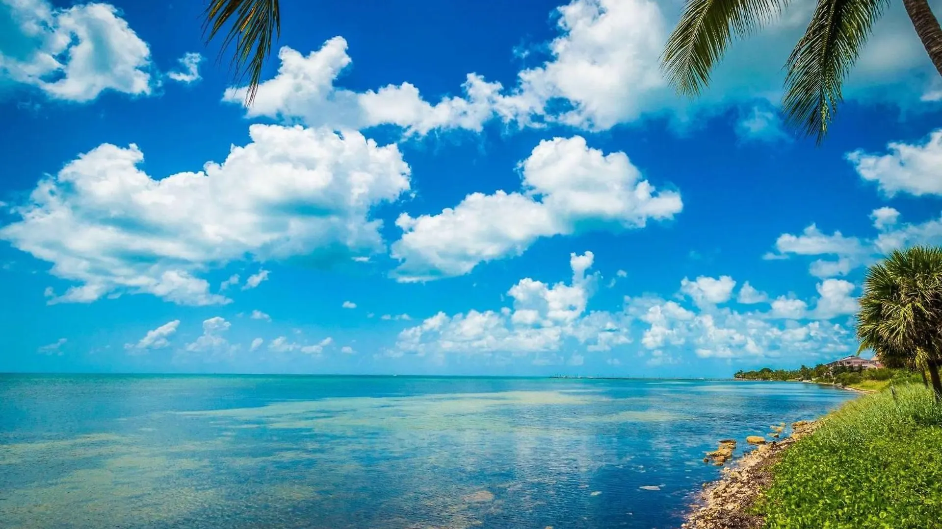 Atlantic Paradise By Avantstay Great Location W Balcony Outdoor Dining Shared Pool Hot Tub Casa de Férias