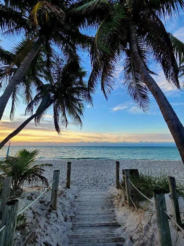 Tranquility By The * Cayo Hueso