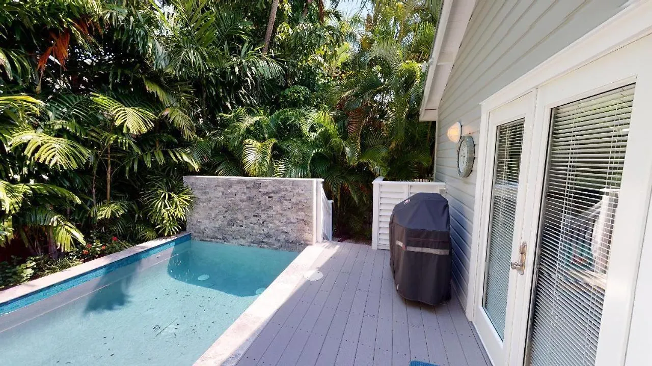 Shady Palms