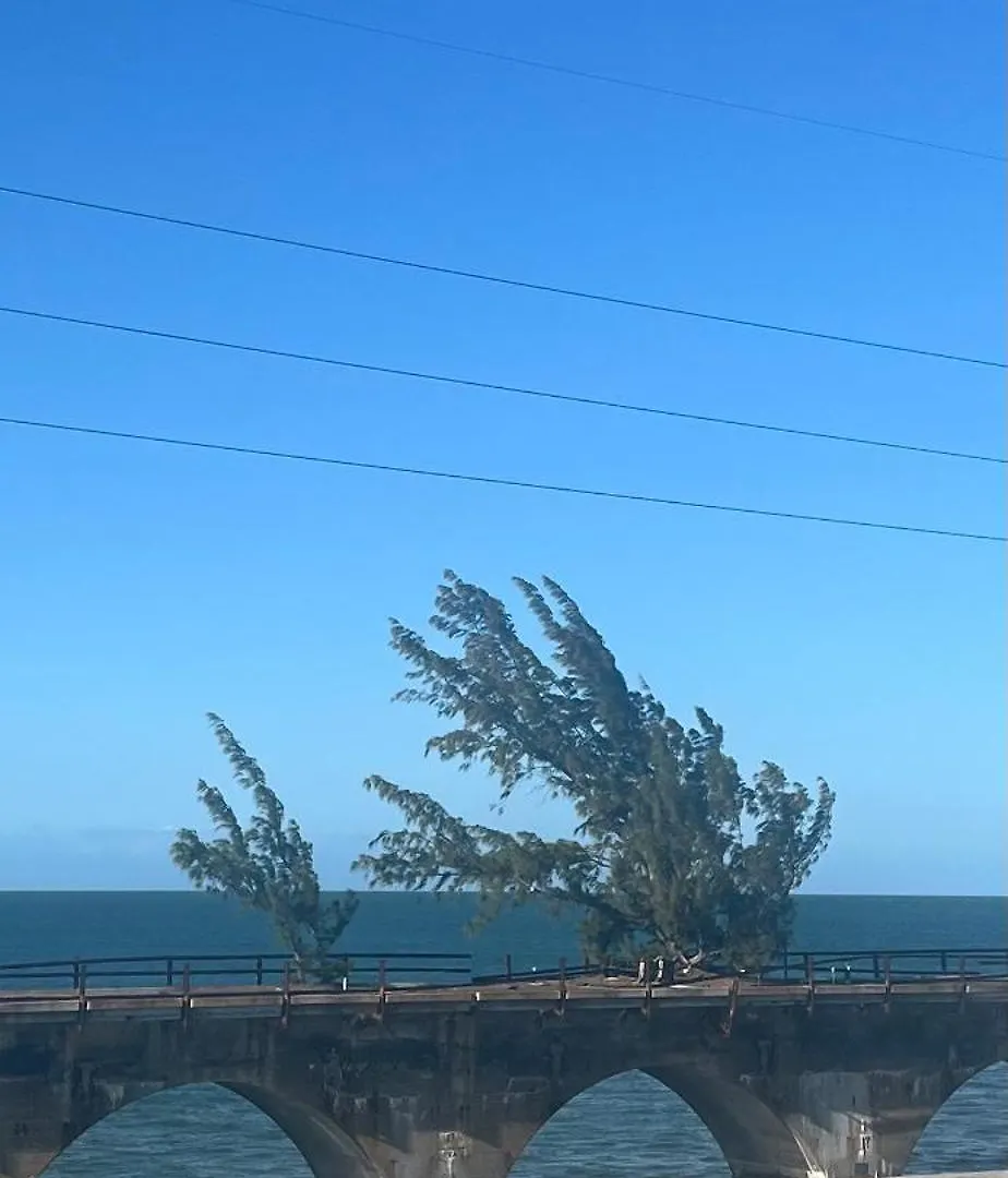 Apartamento Dee's Dream Sunset - #151 Key West