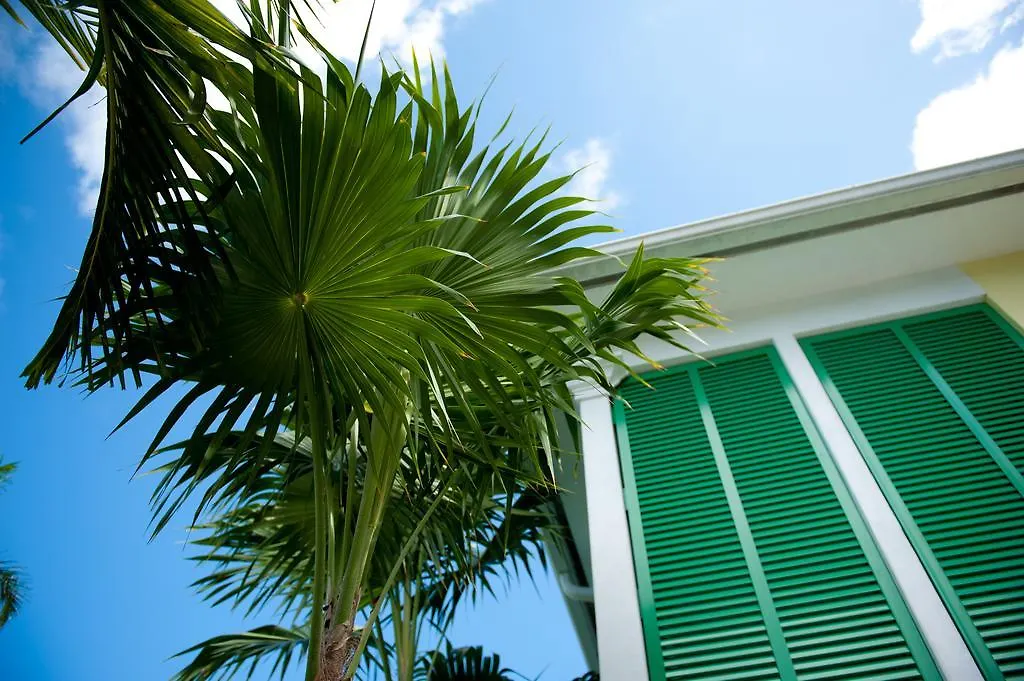 Almond Tree - Adults Only 3*