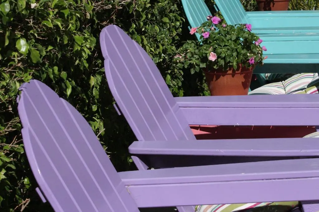 Avalon Bed And Breakfast (Adults Only) 3* Key West