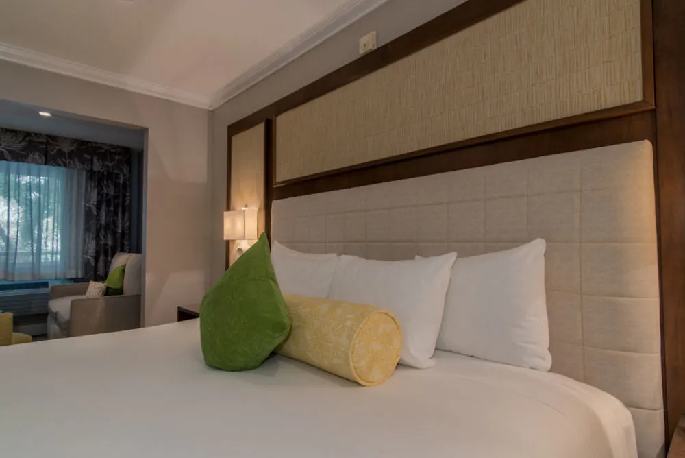 Almond Tree - Adults Only Key West