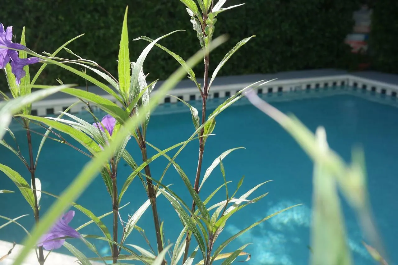 Heron House Court (adults Only) Hotel Cayo Hueso