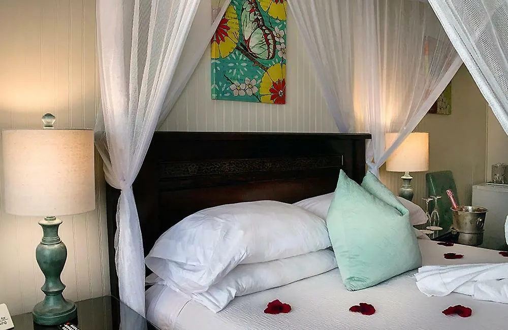 Bed & Breakfast Avalon Bed And Breakfast (Adults Only)
