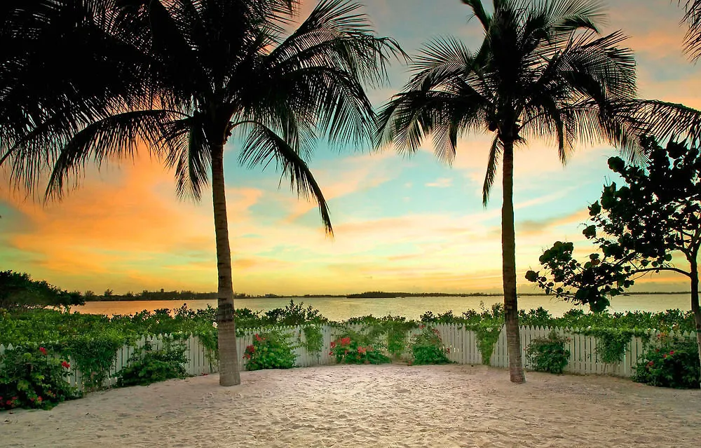 Parrot Key & 4*