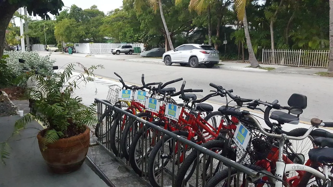 Seashell And International Hostel Key West