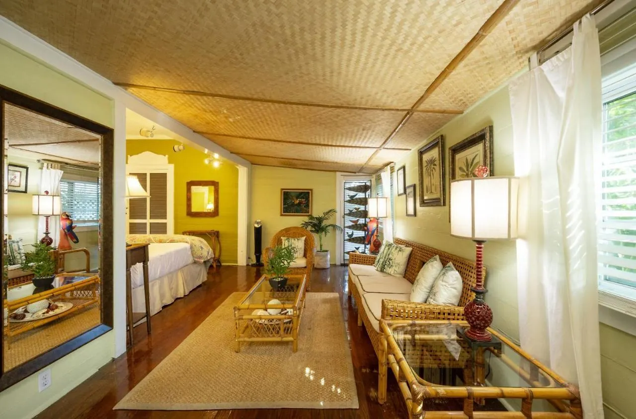The Mermaid & The Alligator Hotel