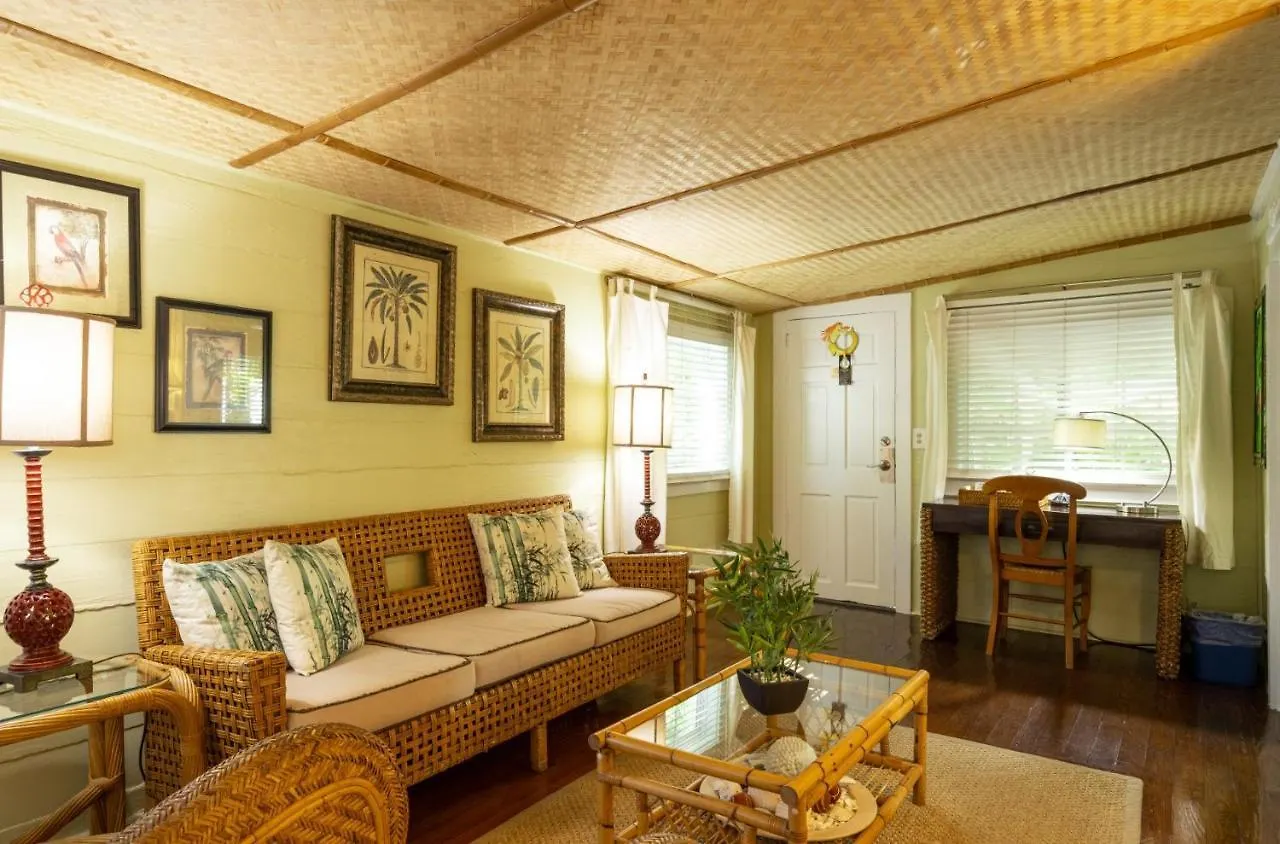 The Mermaid & The Alligator Hotel 3*