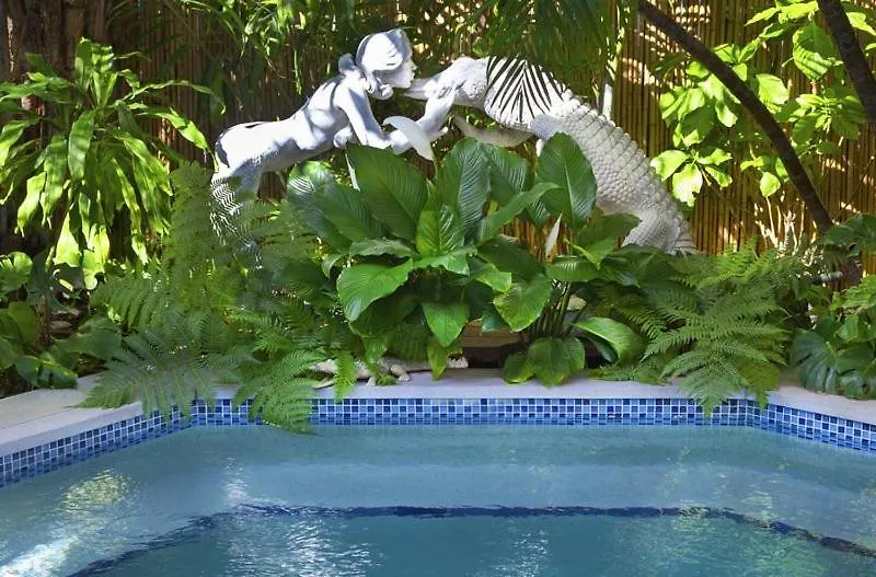 The Mermaid & The Alligator Hotel 3*