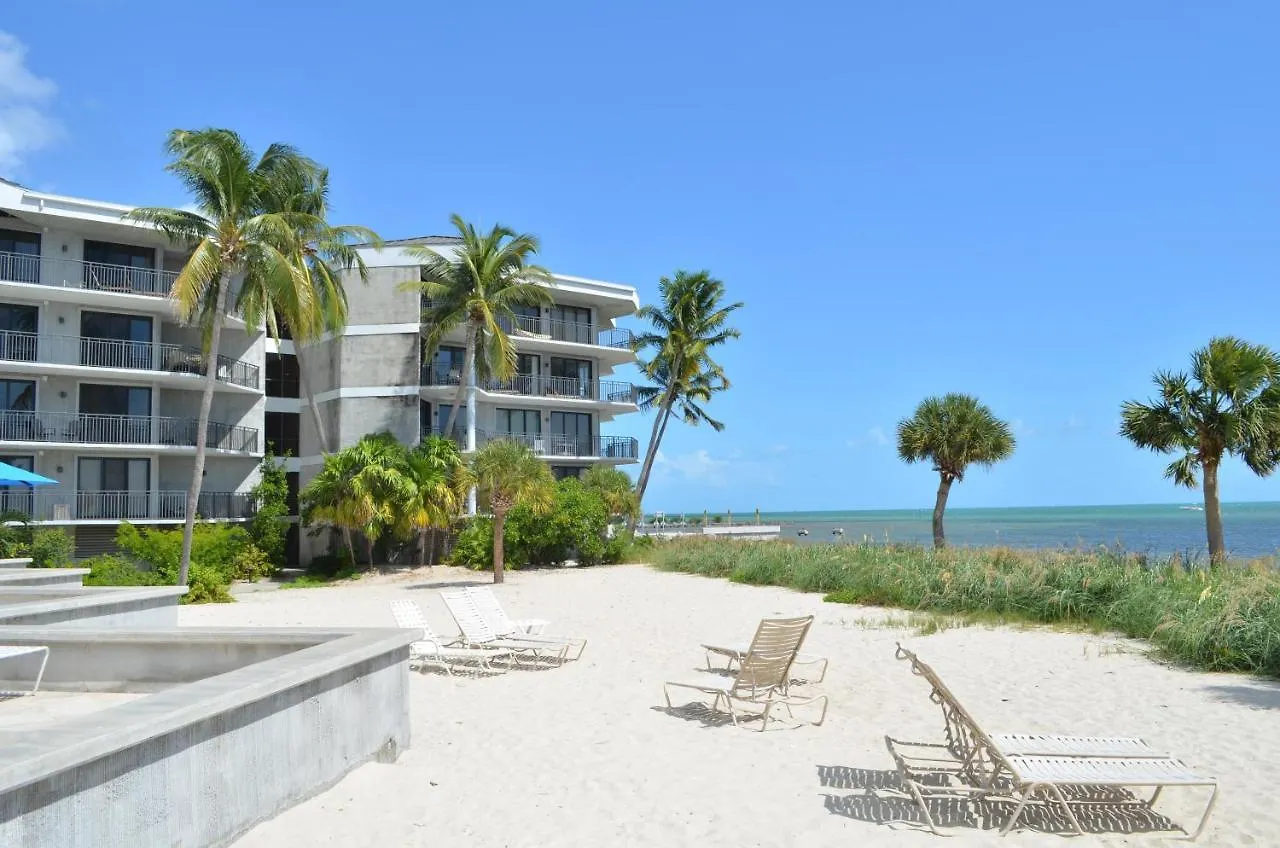 Moonlight Paradise Apartment