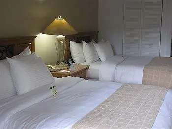 Hotel Paradise 4*