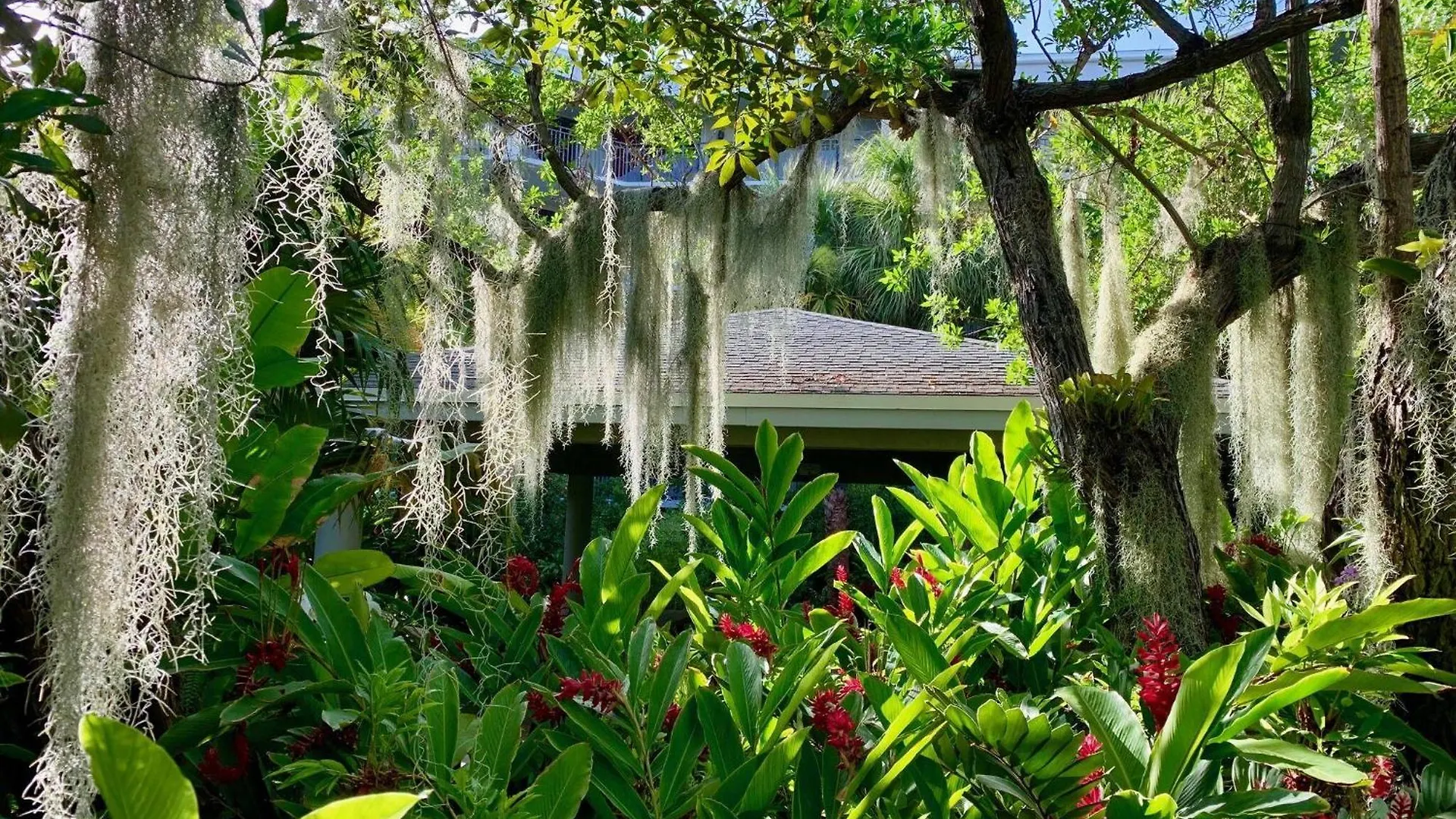 Tom's Oceanfront Penthouse Holiday home Key West