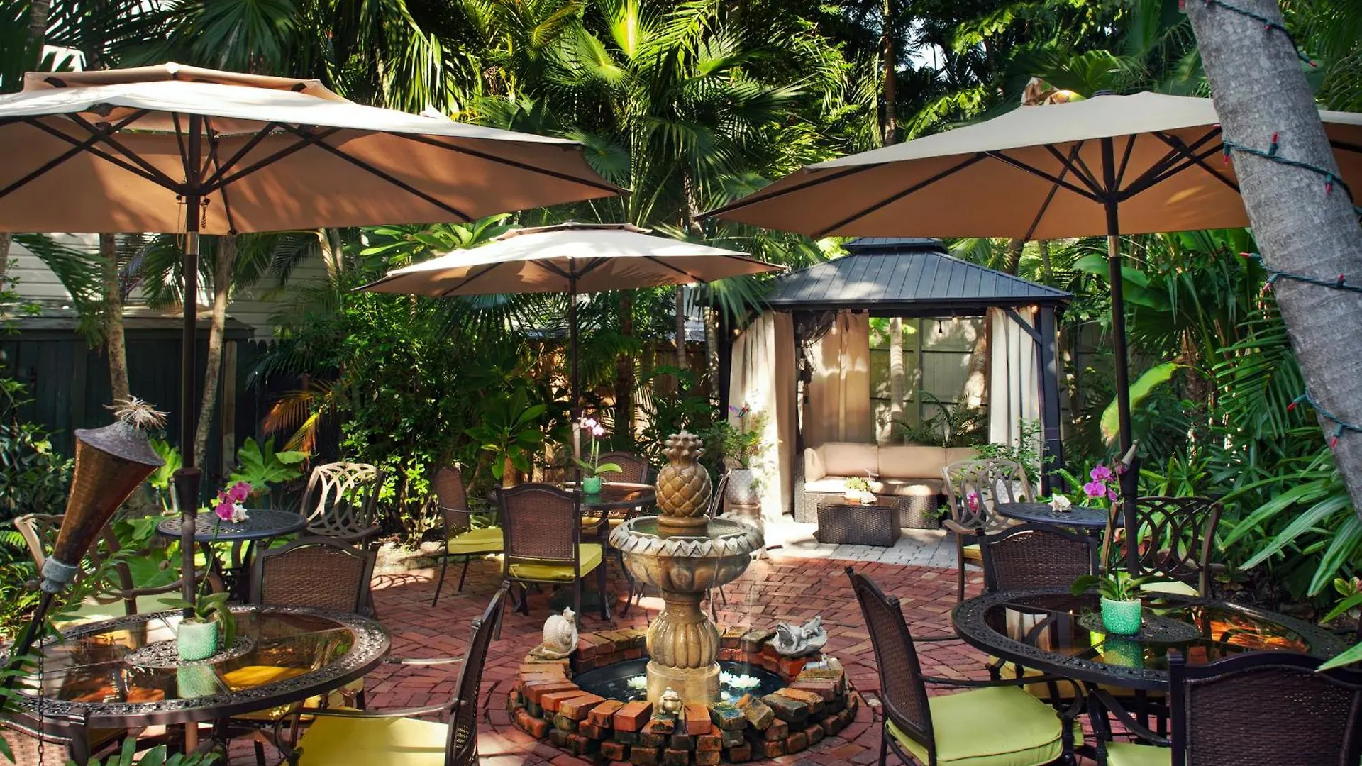 The Mermaid & The Alligator Hotel 3*