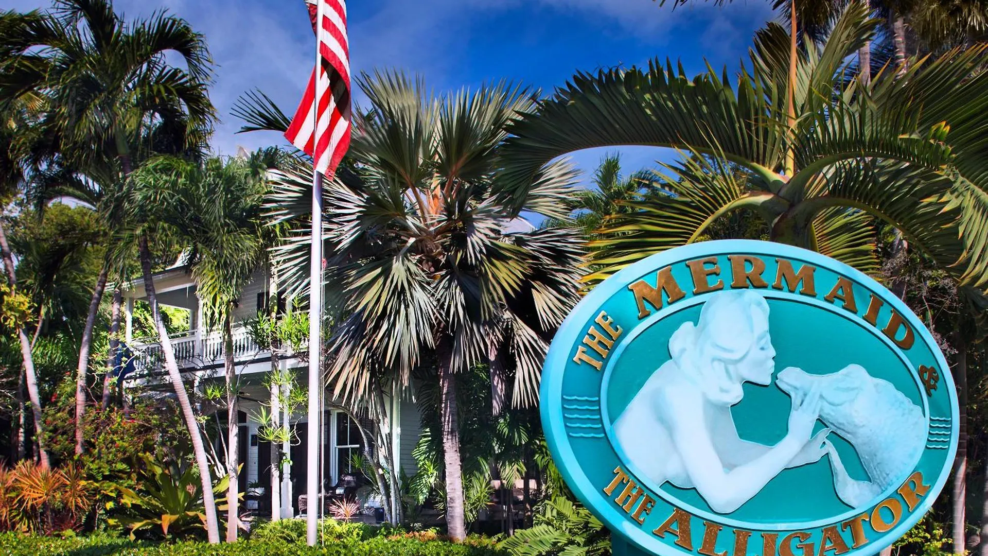 The Mermaid & The Alligator 3*
