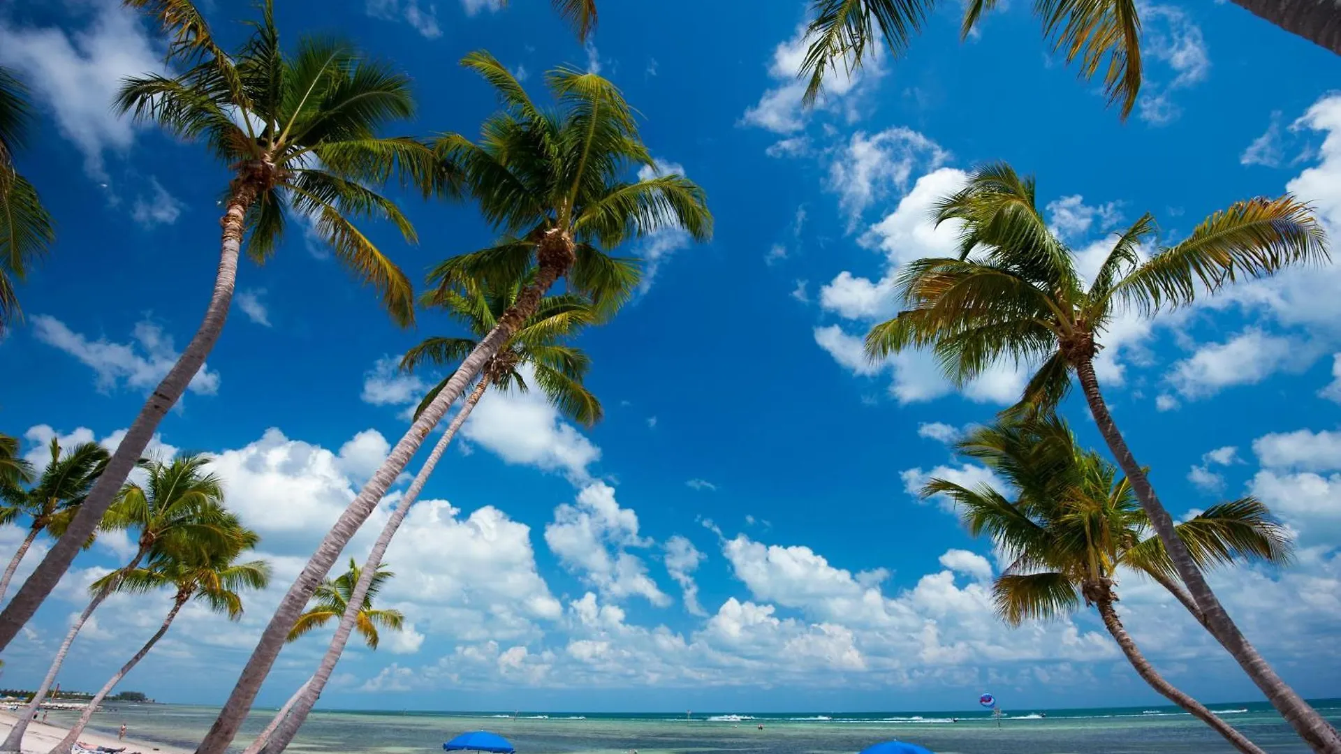 Anchor Drop Holiday home Key West
