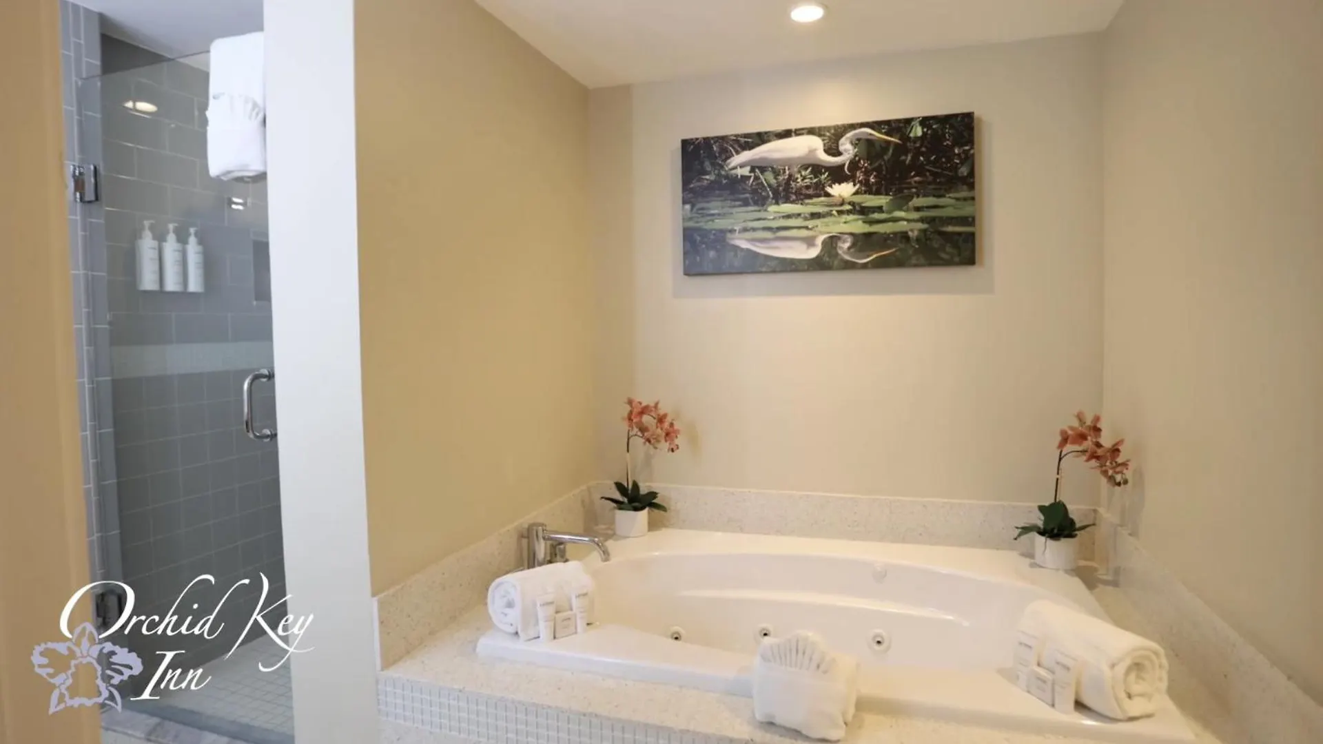 Hotel Orchid Key - Adults Only Key West