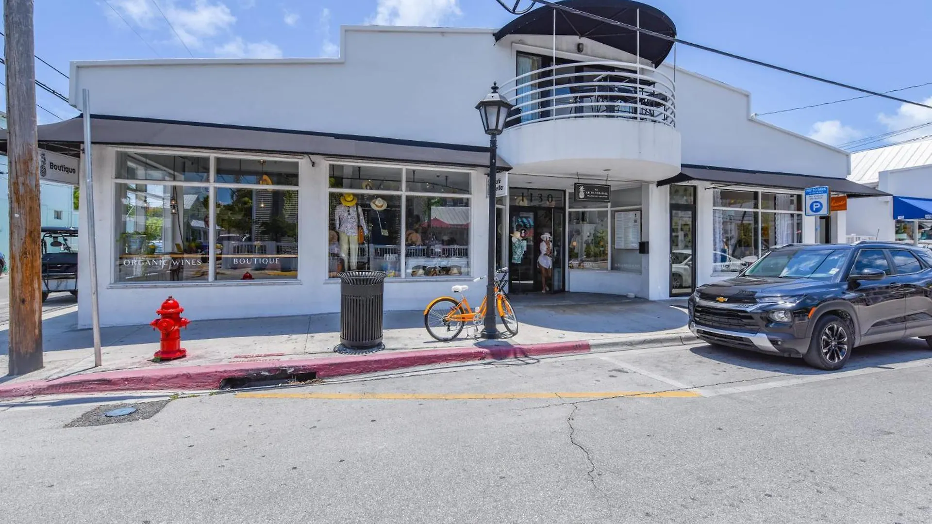 New Pineapple Palloza - Bright & Modern On Duval