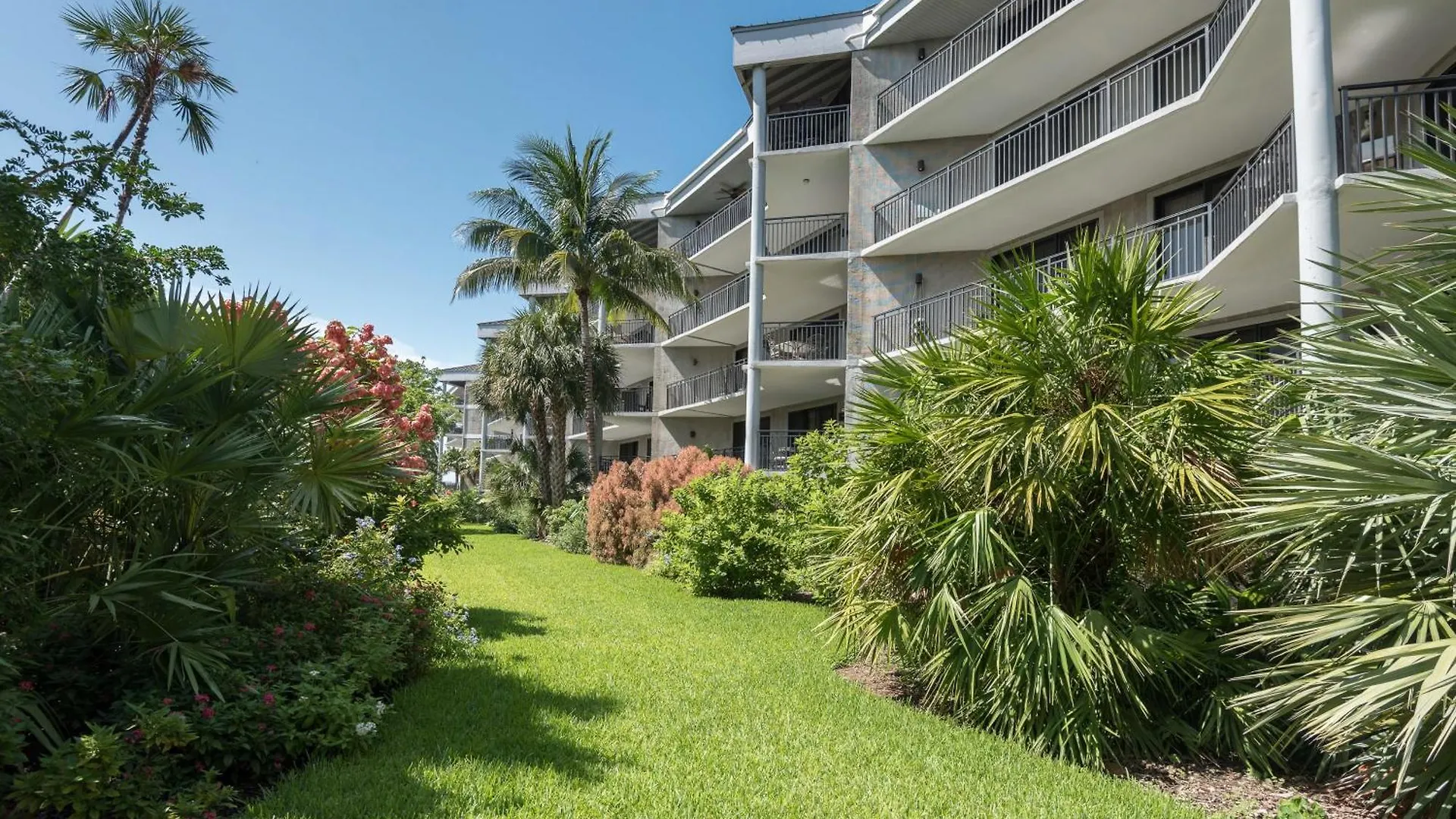 Nyaraló Coconut Palms