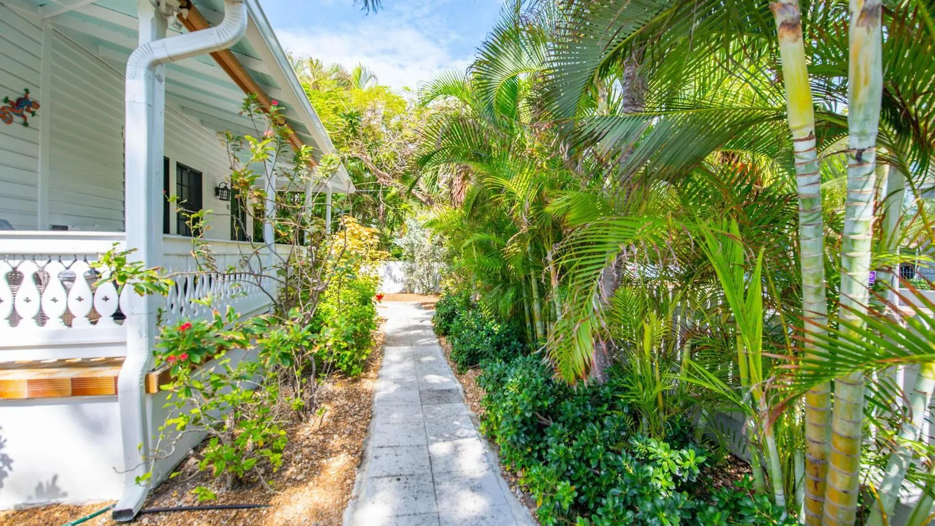Garden Of Roses - Monthly Key West
