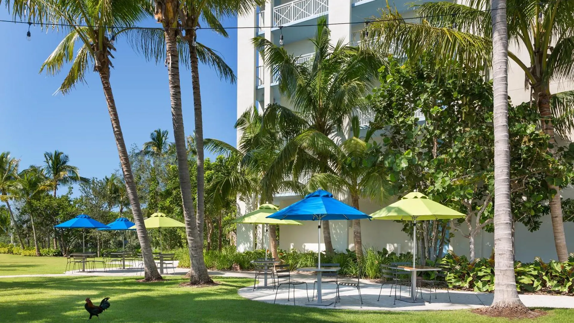 Hotel Blue Flamingo Resort Key West 4*