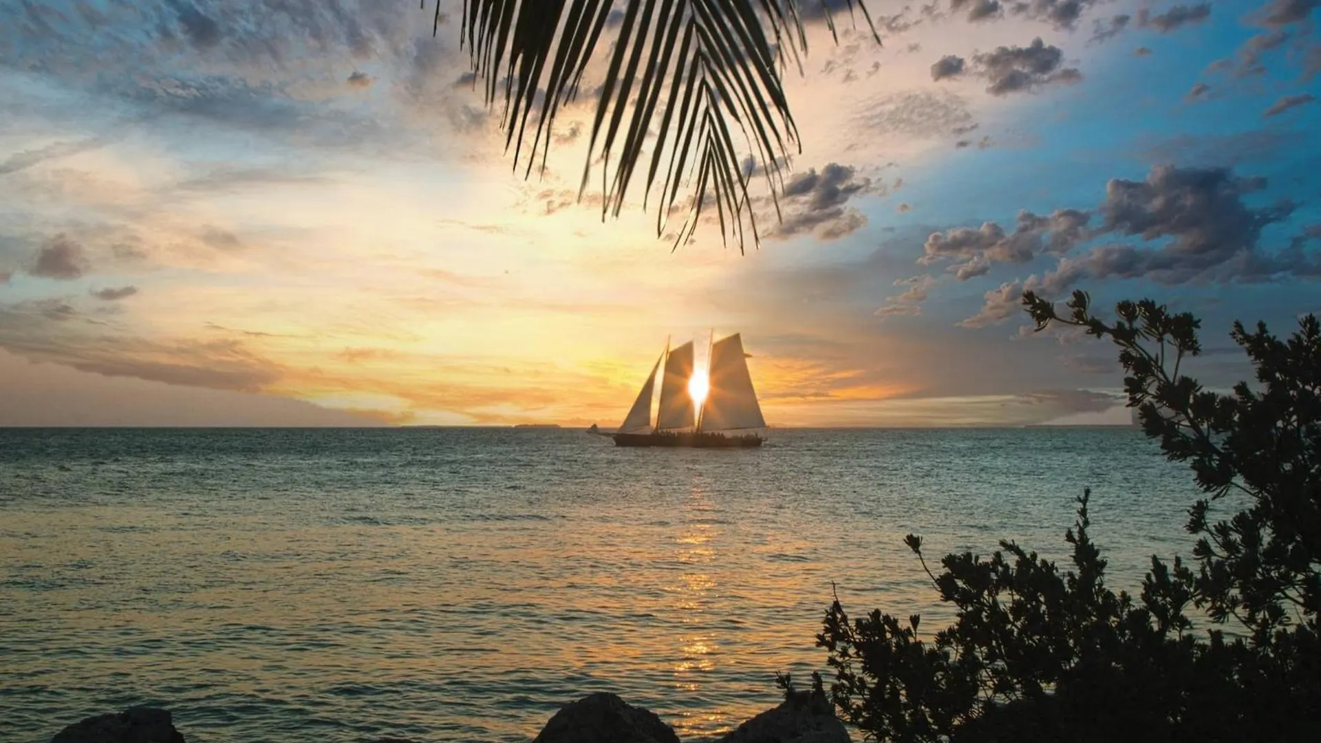 Always Your Paradise By Avantstay Shared Pool Near Zachary Week Long Only Key West