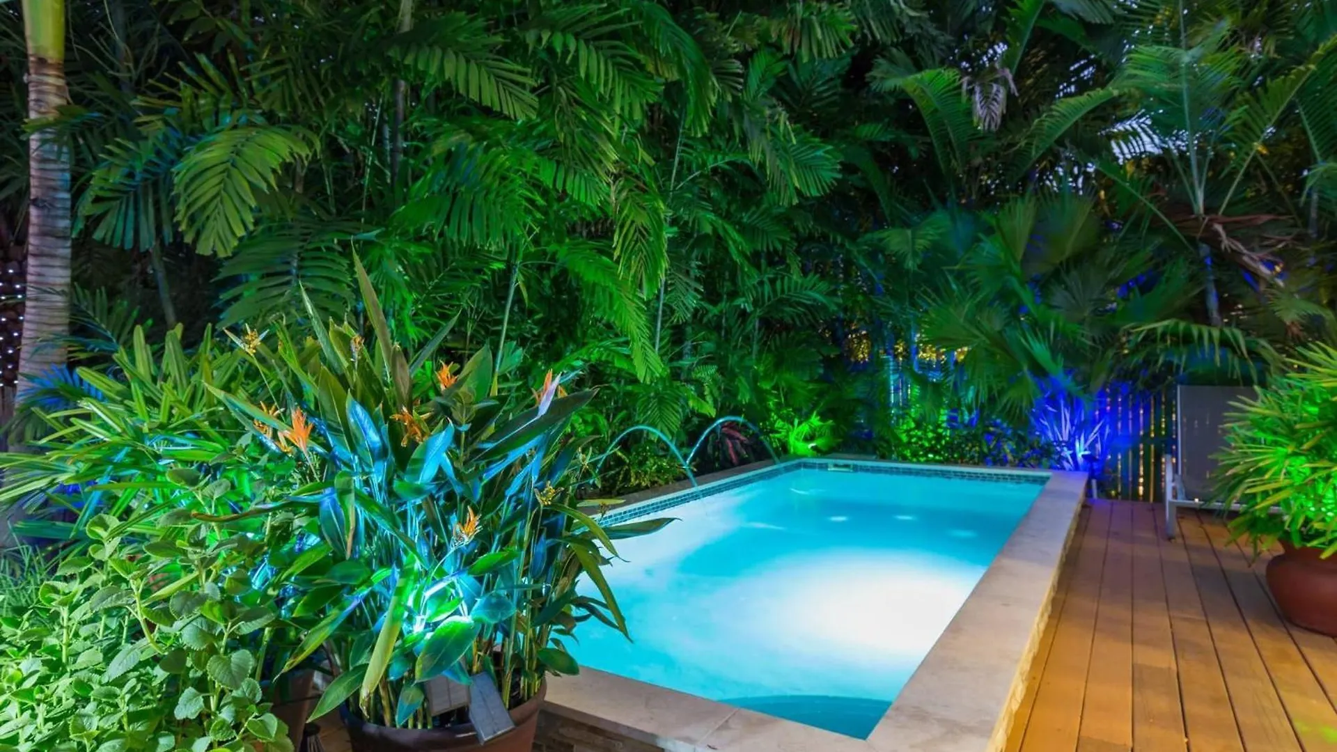 Serenity By Avantstay In Old Town W Shared Pool Month Long Only * Key West